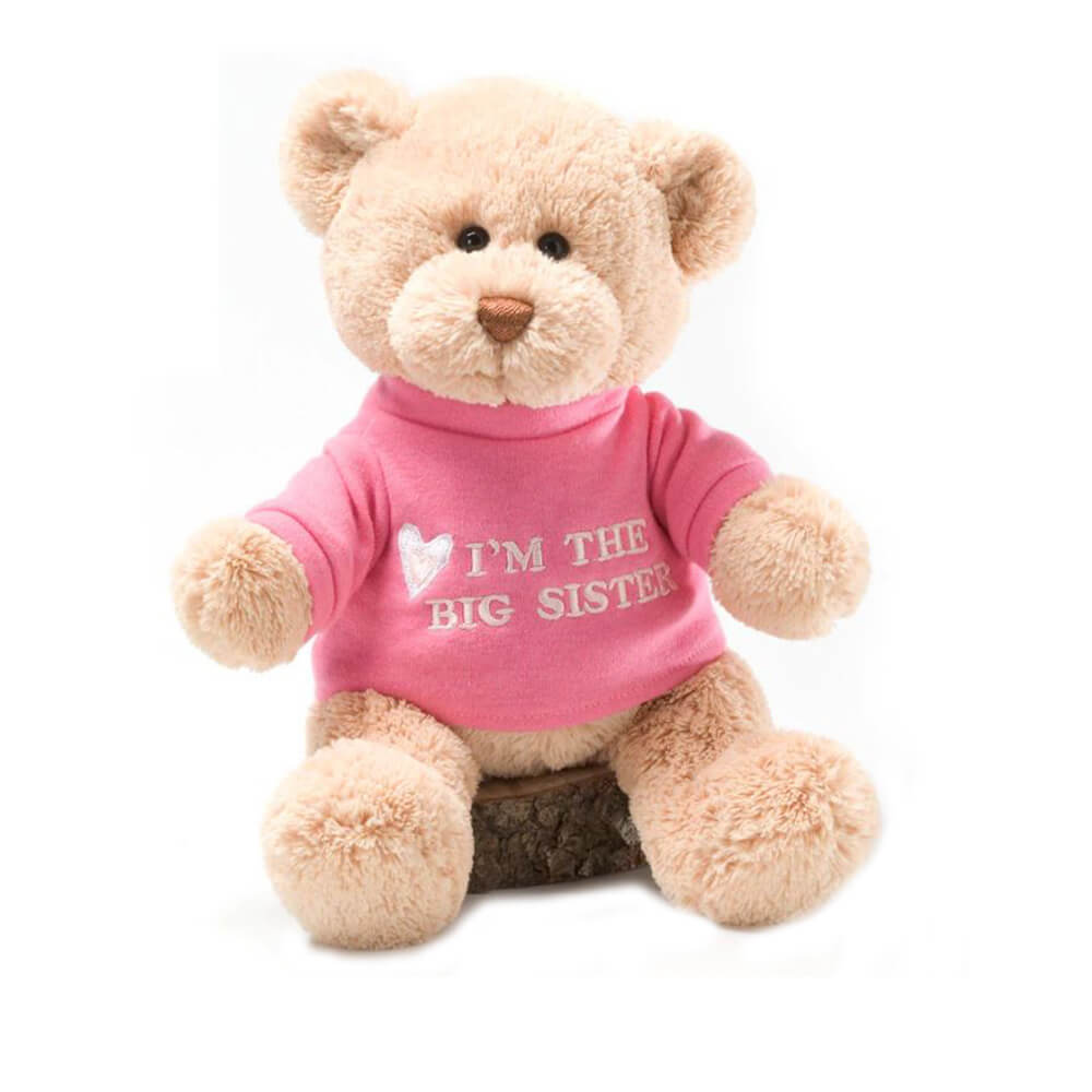 Gund Big Sister Bear (rose)