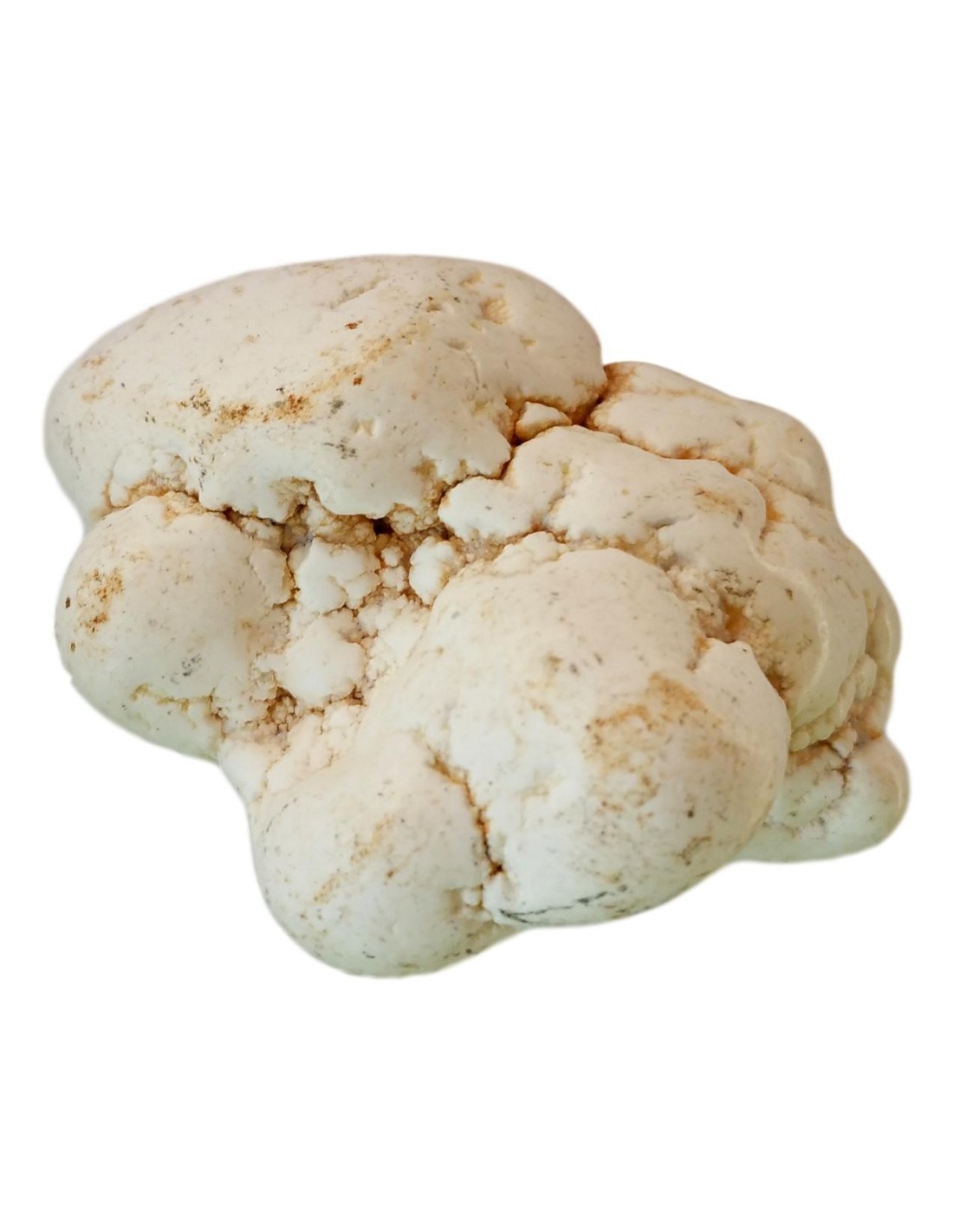 Magnésite en Pierre roulée 3/4 cm - Favorise la relaxation et l'équilibre intérieur