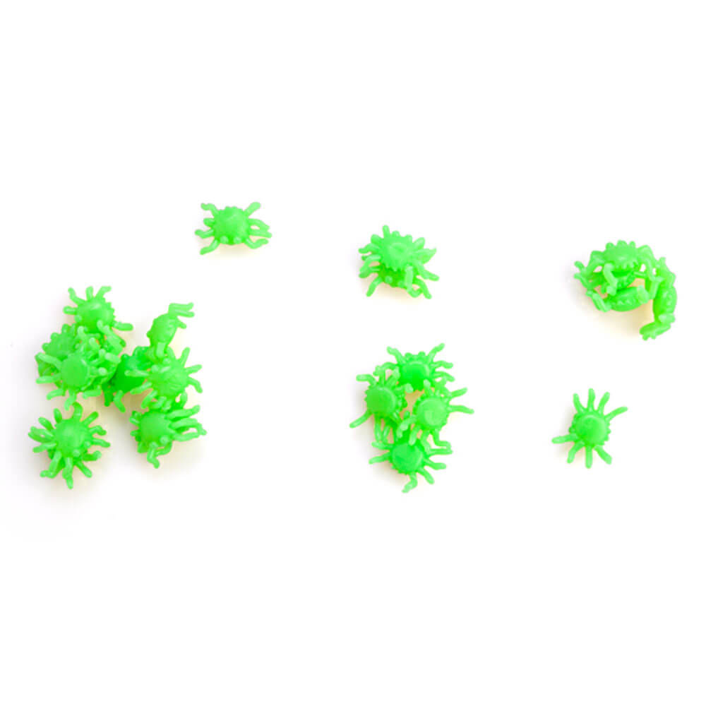 Creeblers d'araignée brillante brillante