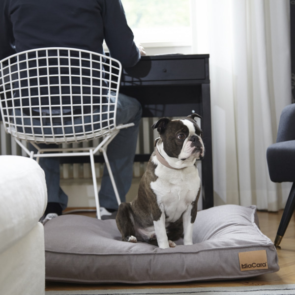 MiaCara Lino Coussin pour chien