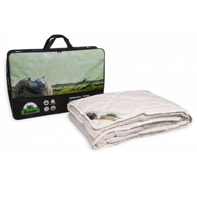 Couette d'été Multichoix 200 Grammes Texeler