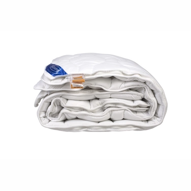 Couette 4 Saisons Silvana Novazembla