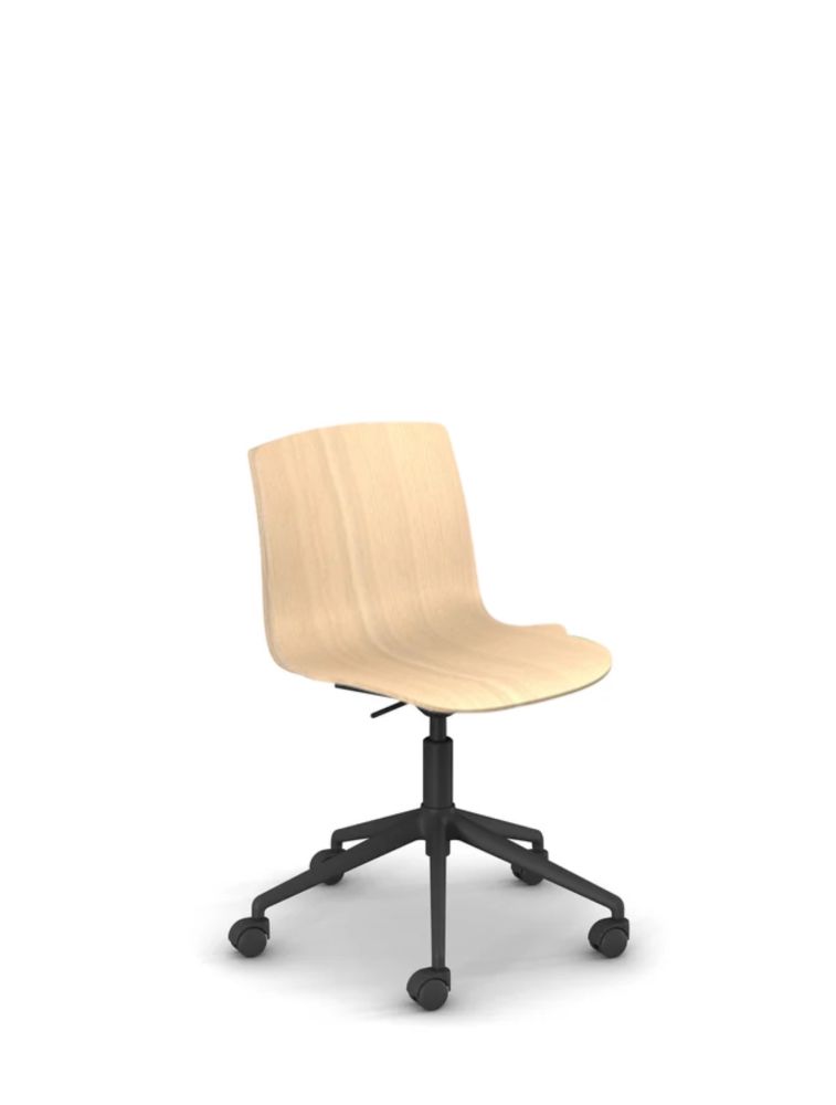 Odei Bois | Chaise giratoire, Coque Bois | Sokoa