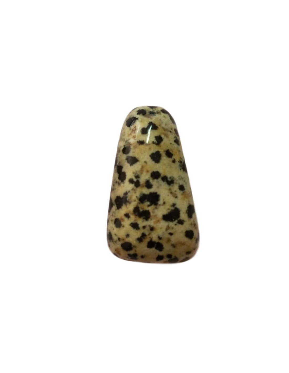 Pendentif triface percé en Jaspe dalmatien - Équilibre et protection pour une élégance naturelle