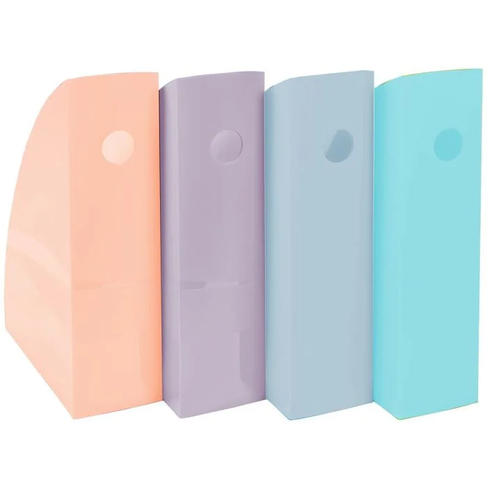 Porte Revues - Mag-Cube - Assortiment pastel EXACOMPTA Aquarel