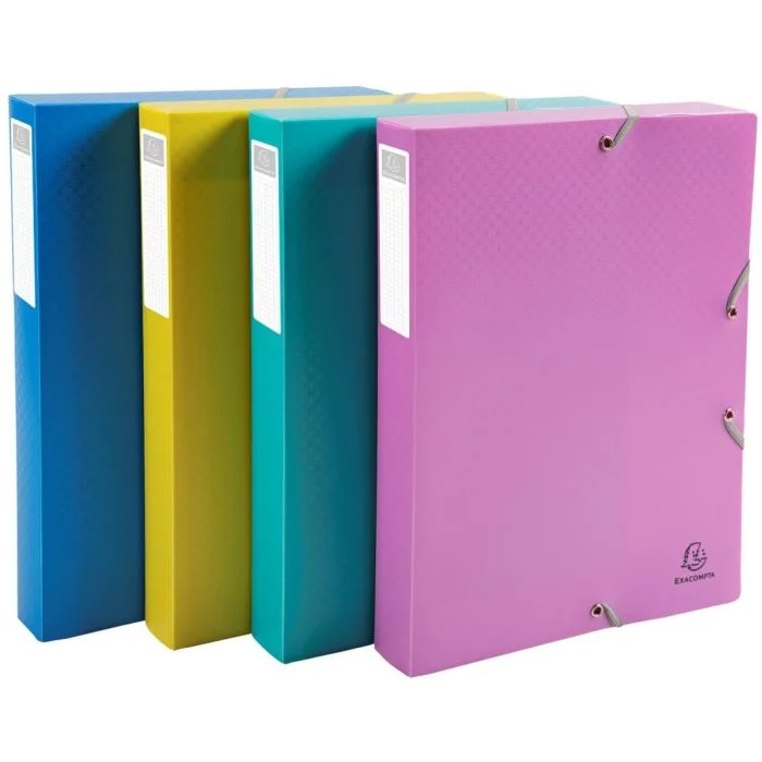 Boîte de classement - Dos 40 mm - Assortiment EXACOMPTA Forever Young