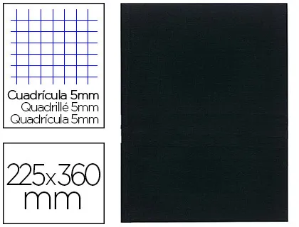 Registre standard exacompta 250x320mm 5x5mm folioté vertical 200 pages