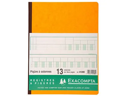 Registre piqure exacompta colonnes 250x320mm 33 lignes 13 colonnes/2 pages 80 pages