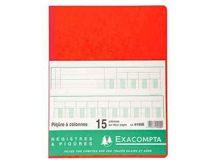 Registre piqure exacompta colonnes 250x320mm 33 lignes 15 colonnes/2 pages 80 pages