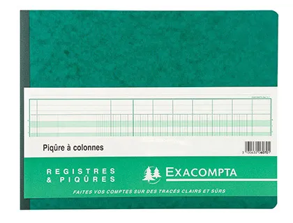 Registre piqure exacompta colonnes 320x250mm 24 lignes 20 colonnes/2 pages 80 pages