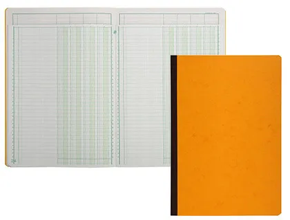 Manifold comptable exacompta piqué tête paresseuse 297x210mm vertical 34 lignes 80 pages 6 colonnes/page