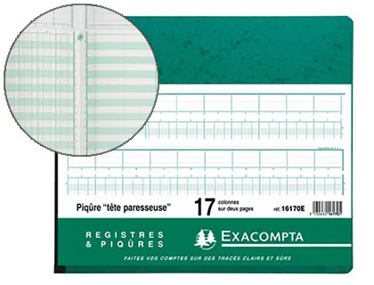 Manifold comptable exacompta piqué tête paresseuse 270x320mm horizontal 31 lignes 80 pages 17 colonnes/2 pages