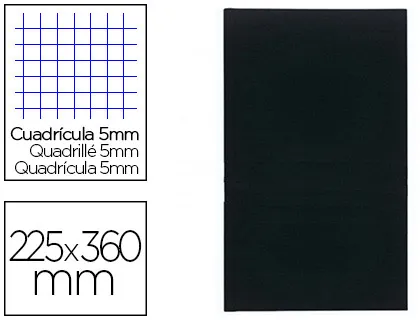 Registre standard exacompta 225x360mm 5x5mm folioté vertical 200 pages