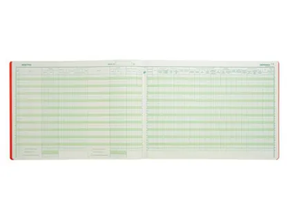 Registre piqué exacompta professions libérales recettes/dépenses 270x380mm 80 pages