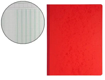 Manifold comptable exacompta piqué tête paresseuse 320x250mm vertical 31 lignes 80 pages 8 colonnes/page