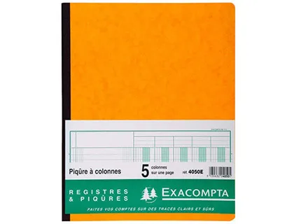 Registre piqure exacompta colonnes 250x320mm 31 lignes 5 colonnes/page 80 pages