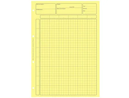Bloc audit contrôle interne elve 80 pages perforées format A4 encollage en tête adapté écriture crayon coloris jaune