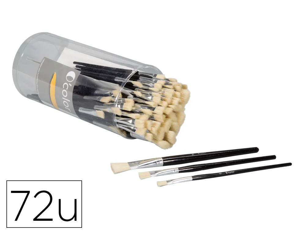 Brosse plate o'color poils soie porc virole aluminium manche bois naturel 24 x nº6 10 16 boite 72 unites