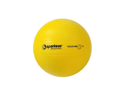 Ballon de volley ball plastico rototech initiation smashy minime en pvc diamètre 203mm 270g