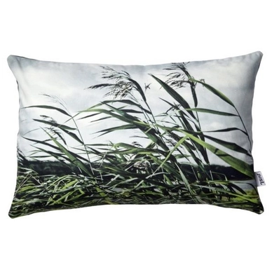 Coussin Décoratif Rikki Tikki Reeds