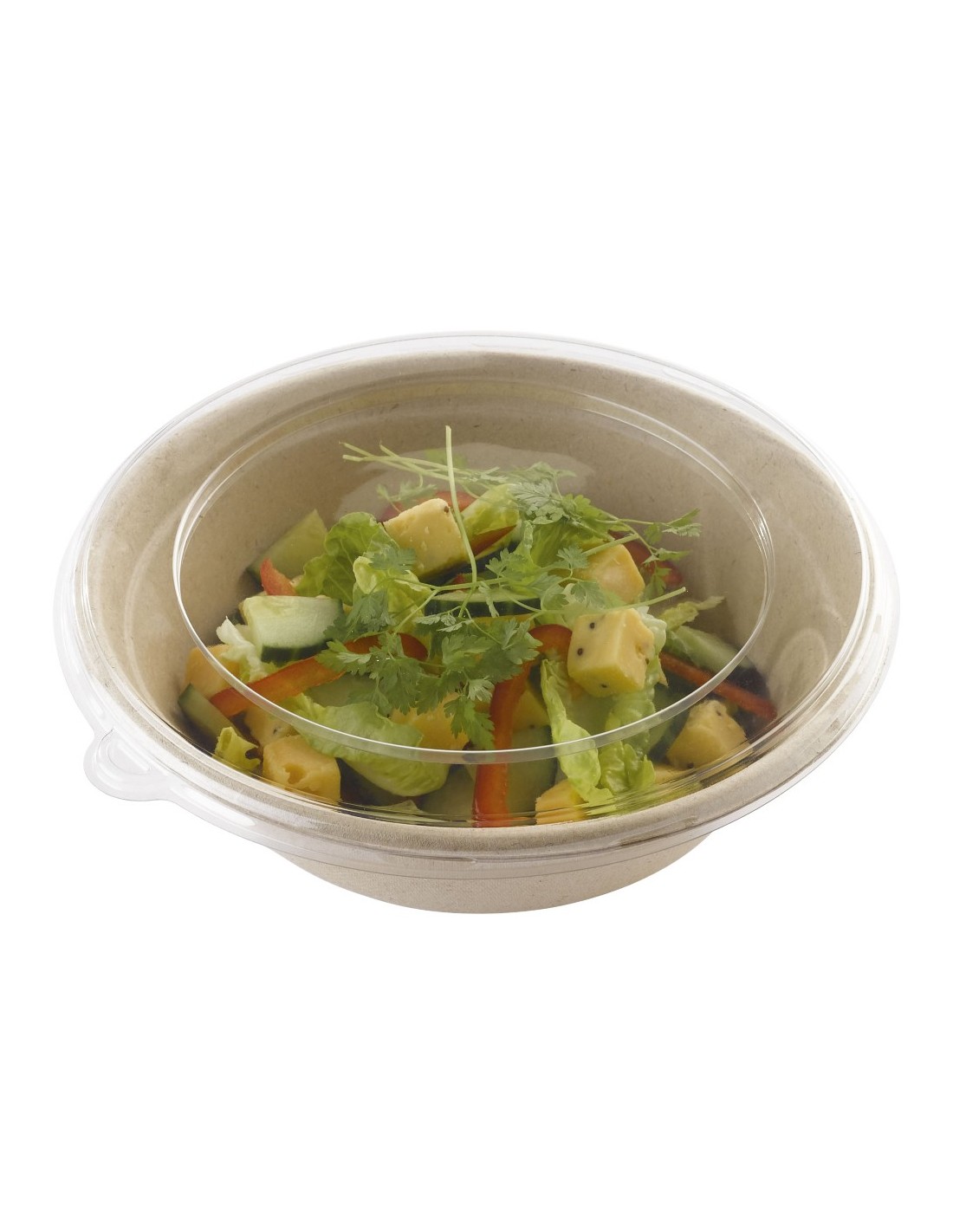 Saladier en pulpe de canne à sucre