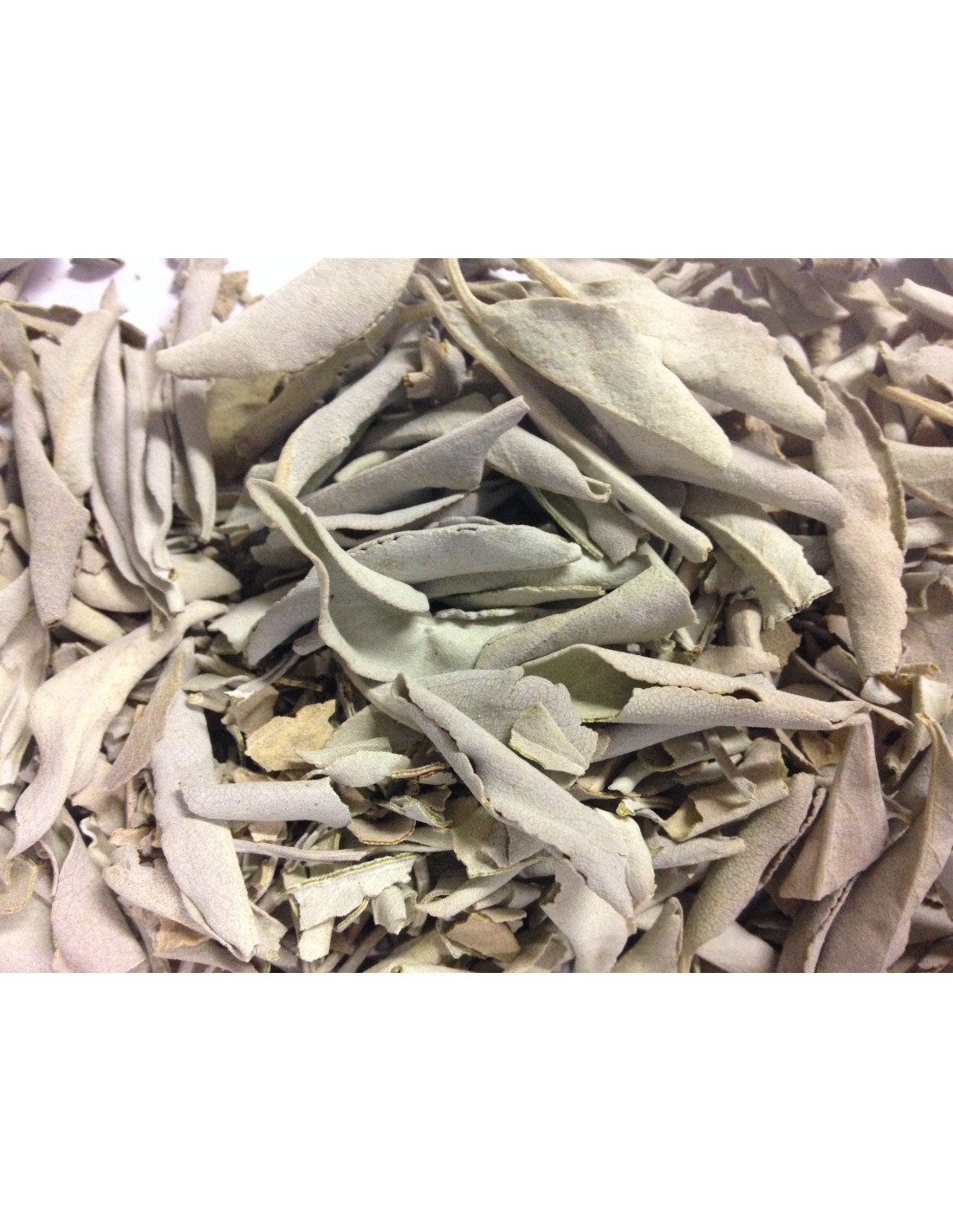 Sauge blanche en feuille 250gr - Purifiez votre espace avec cette herbe sacrée