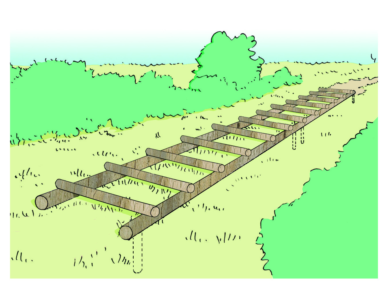 Saut de grenouille - Parcours sportif