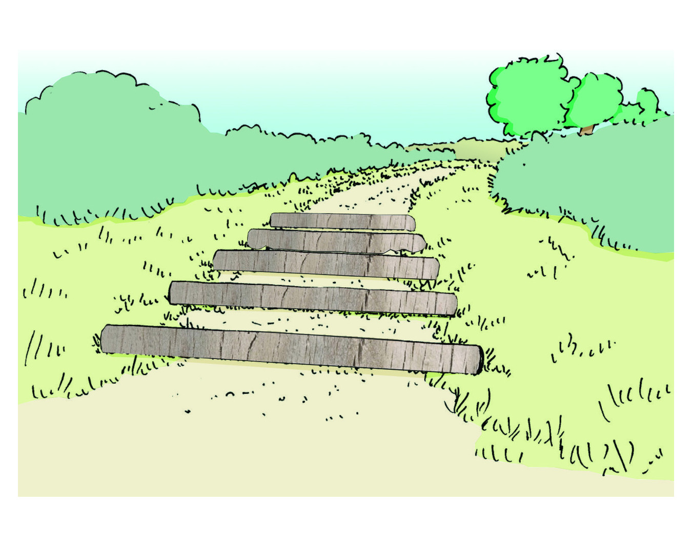 Saut de puce - Parcours sportif