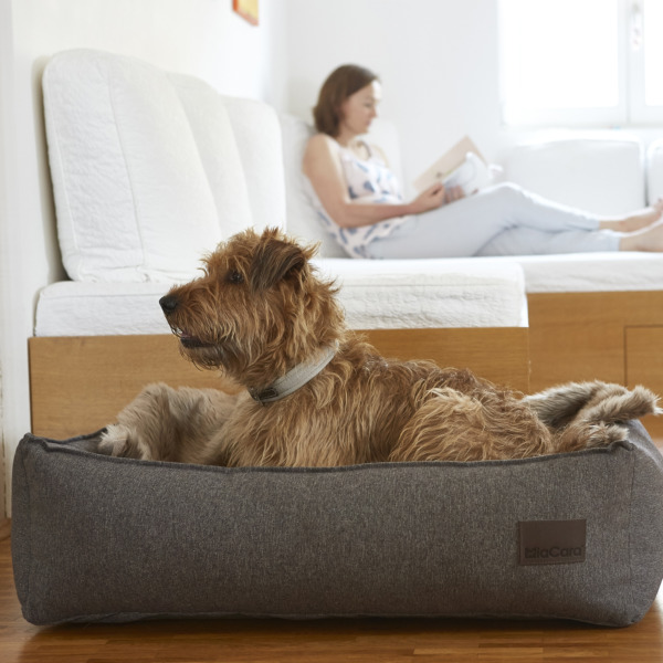 MiaCara Nube Box Dog Bed