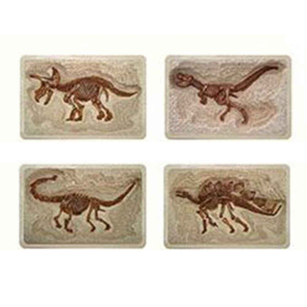 Découvrez l'excavation des explorateurs de dinosaures scientifiques