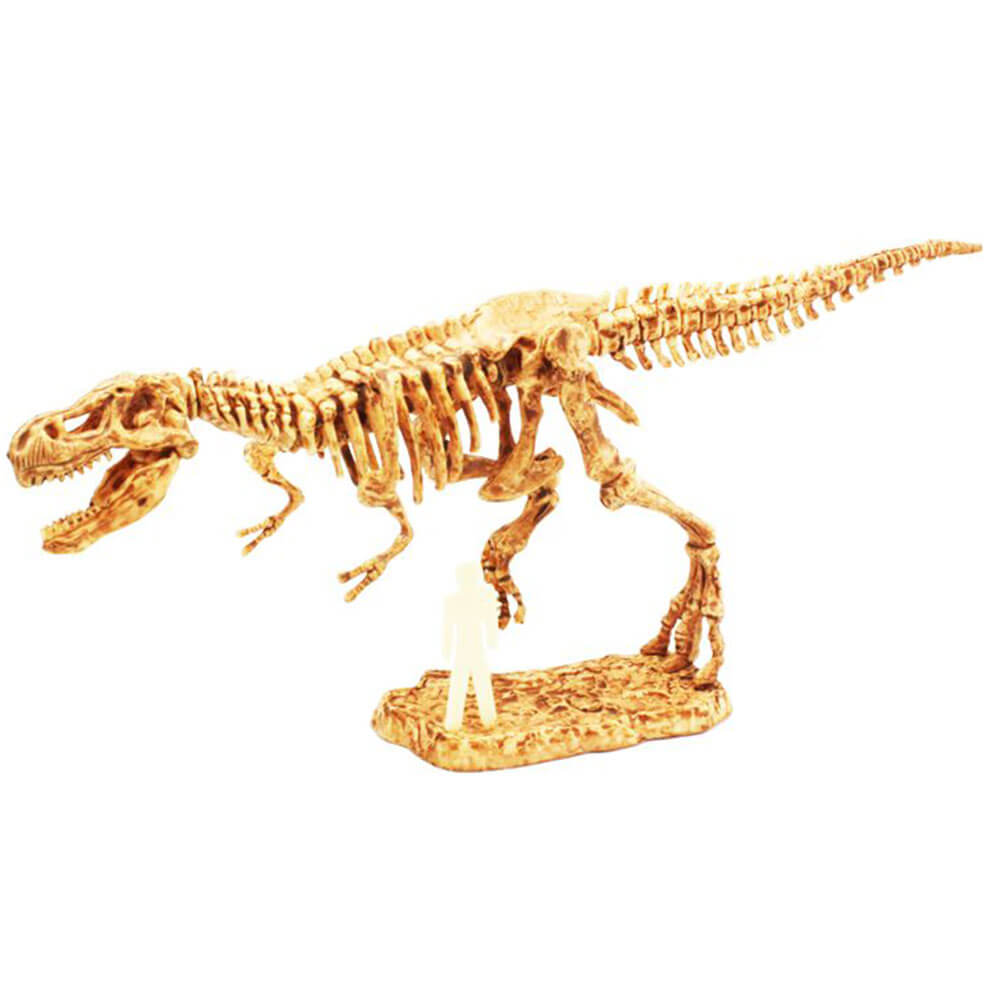 Kit d'excavation Science T-Rex Science