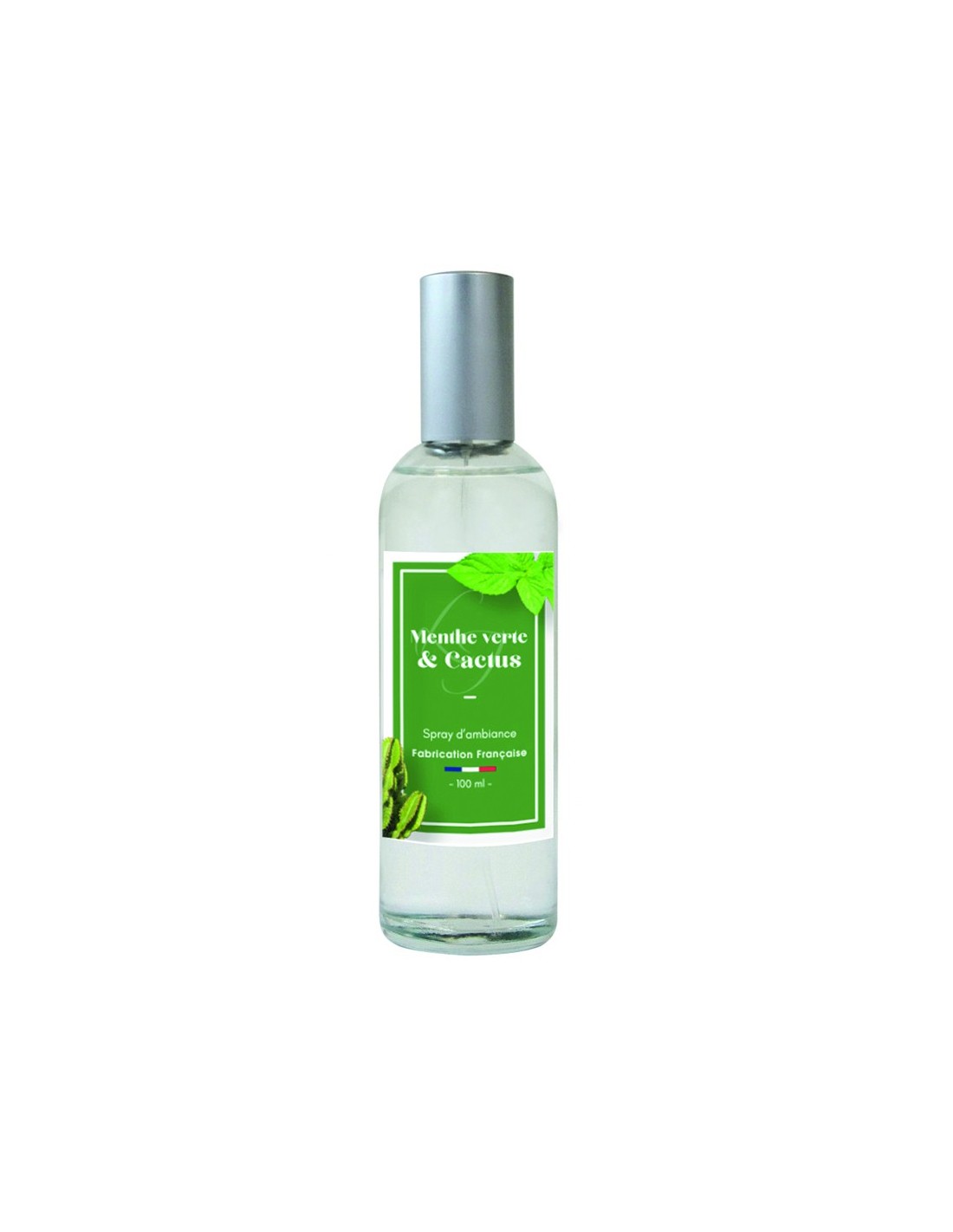 Spray d'Ambiance 100 ml Duo Cactus & Menthe