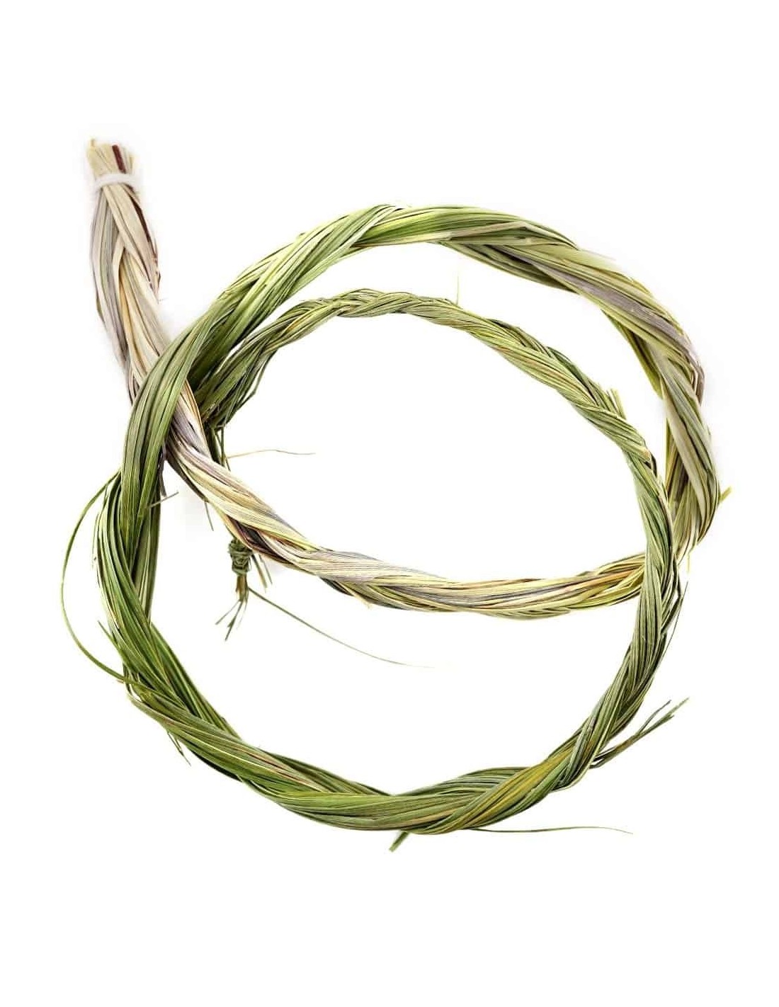 Tresse Sweetgrass naturelle pour purification spirituelle - Encens de qualité supérieure