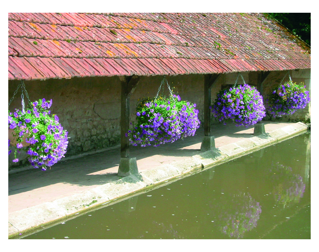 Vasque polyéthylène à chaînettes