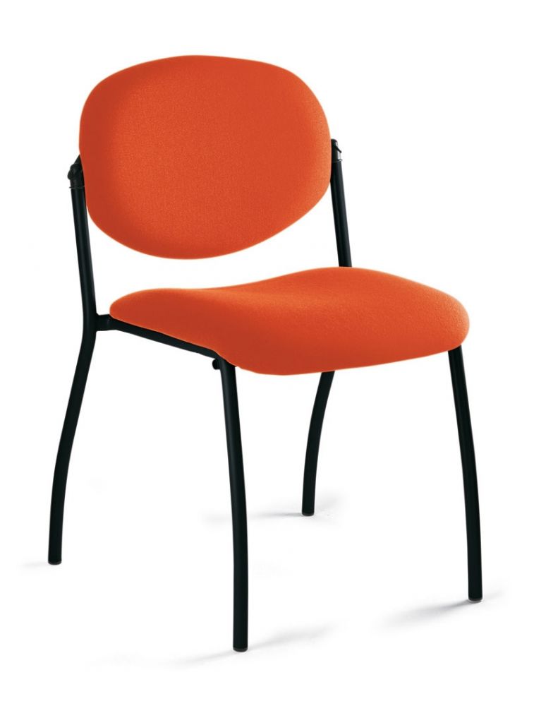 Mia - Visiteur 4 pieds