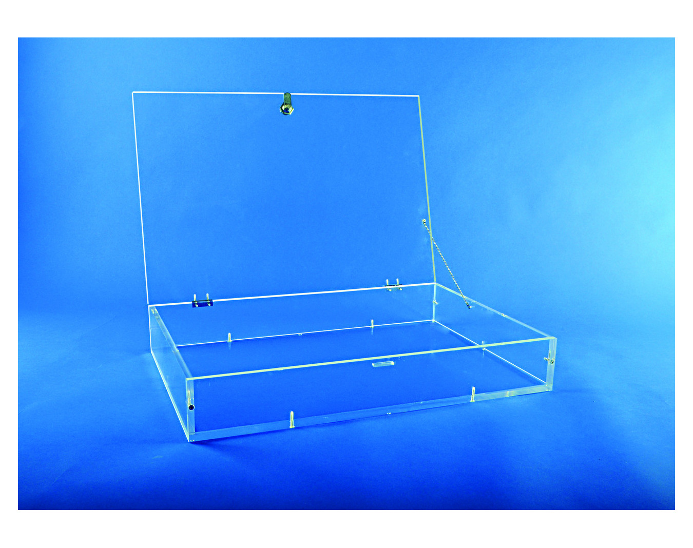 Vitrine d'exposition Museum