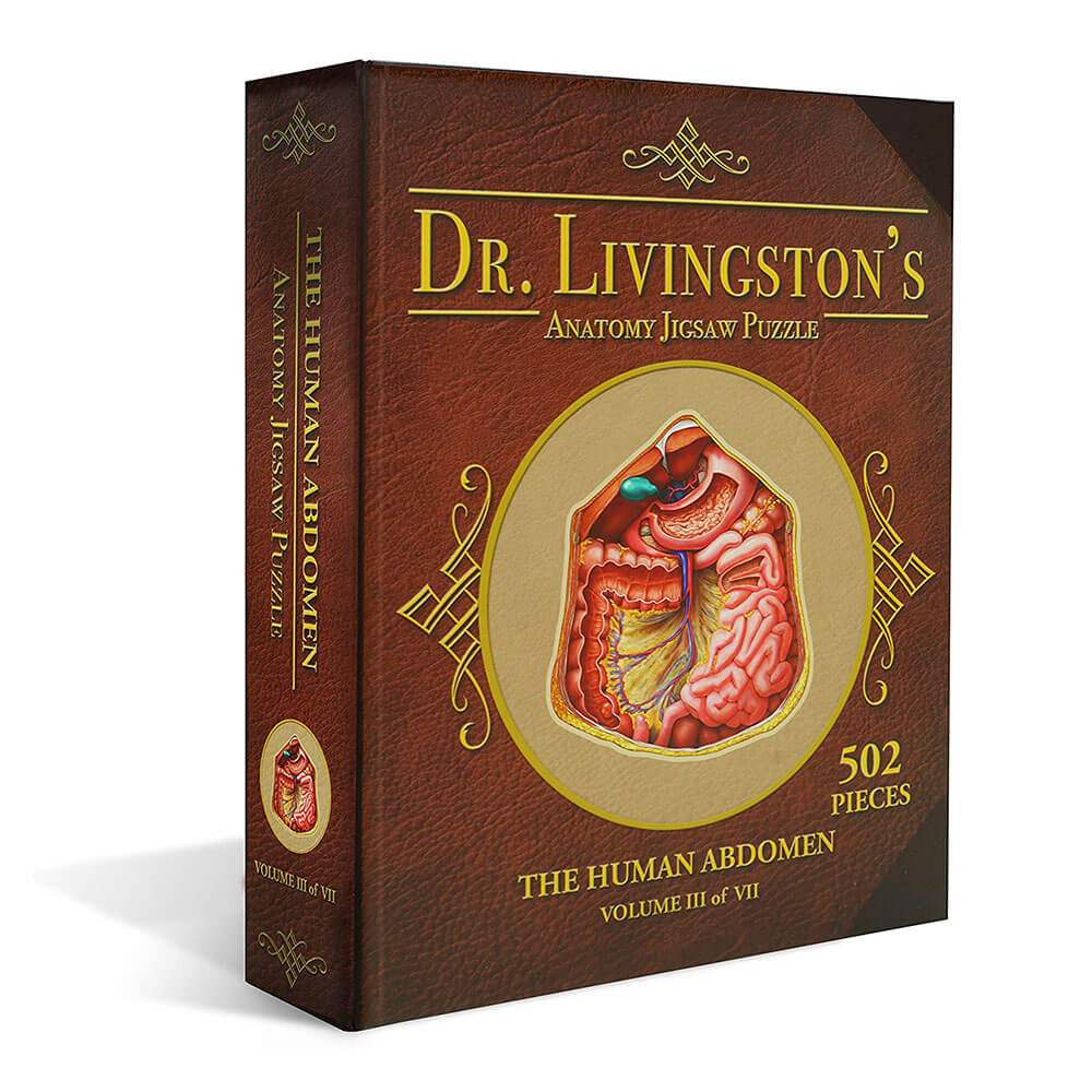 Le Dr Livingston's Anatomy Puzzle Puzzle l'abdomen humain