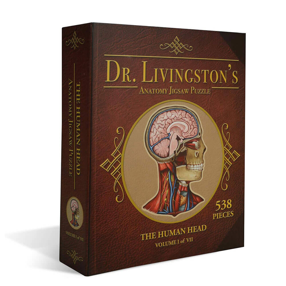 Le Dr Livingston's Anatomy Jigsaw Puzzle la tête humaine