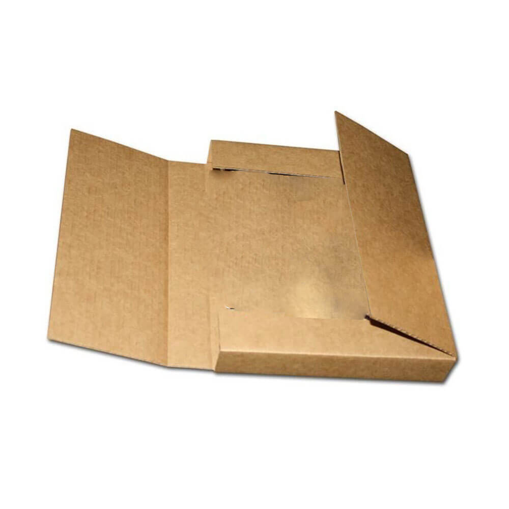 Les pages BCW enveloppent 100 ct (faisceau de 10)