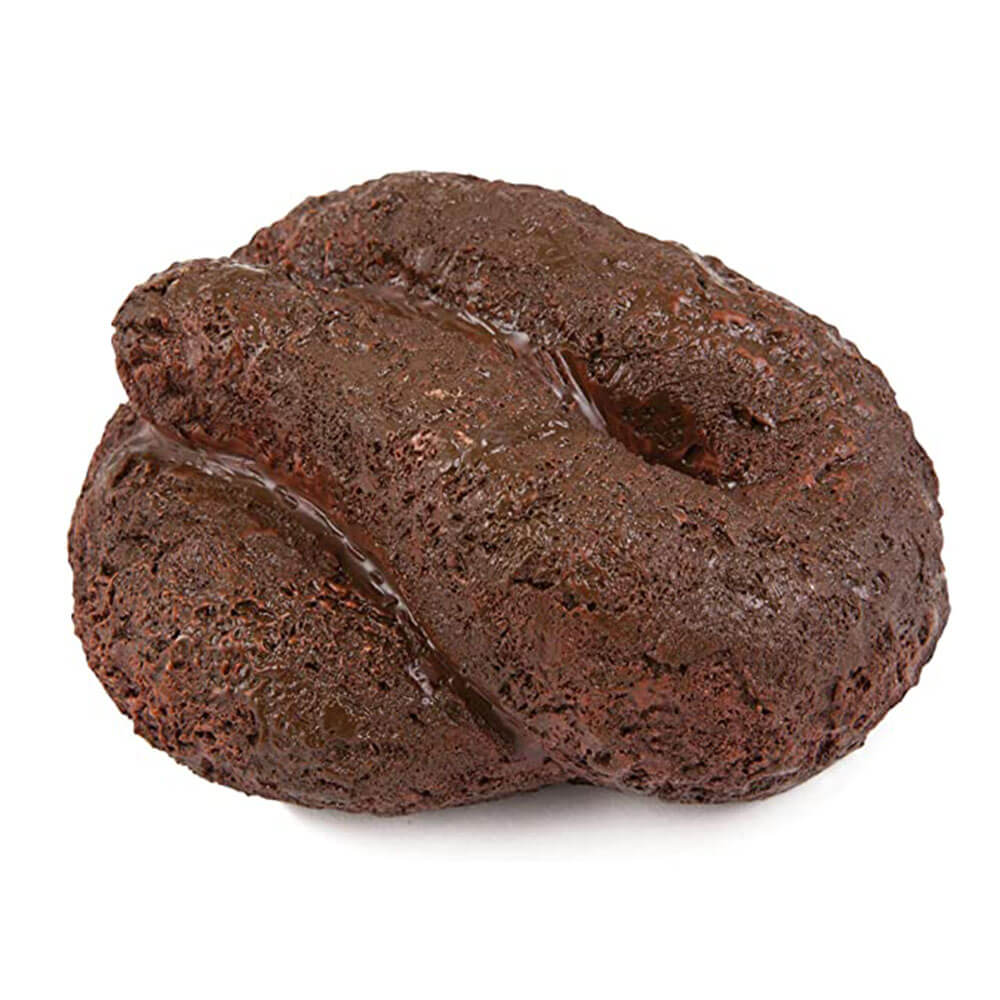 Bigmouth Buster's Poop Hide-A-Key