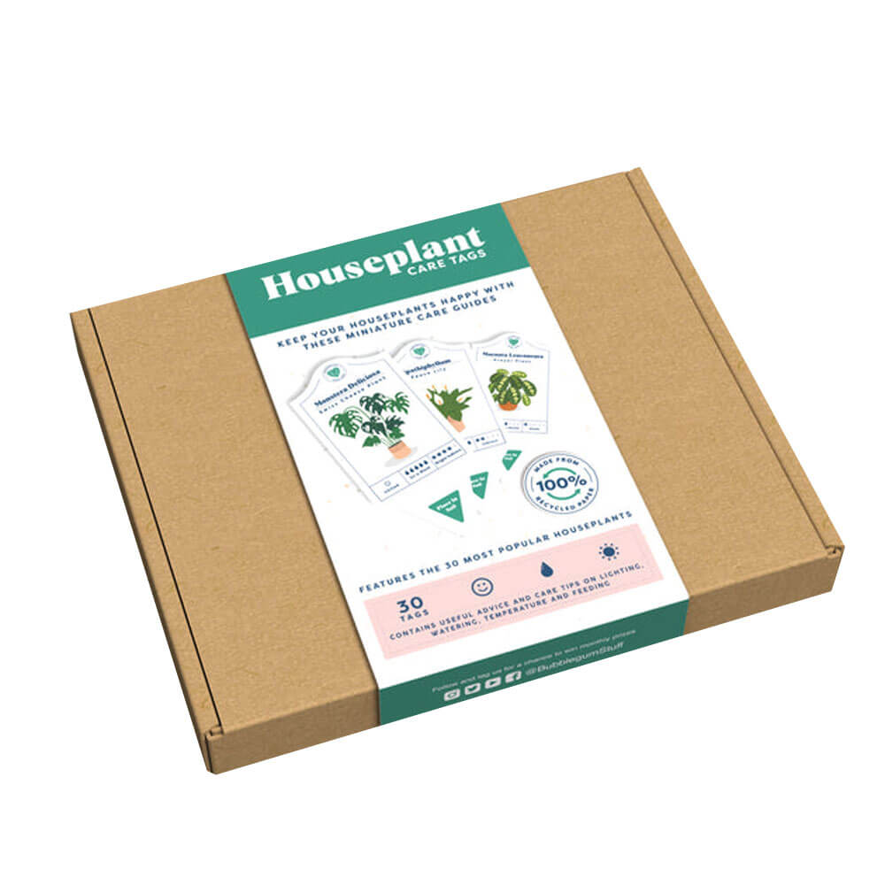 Bubblegum Stuff Habore Plant de soins Tags